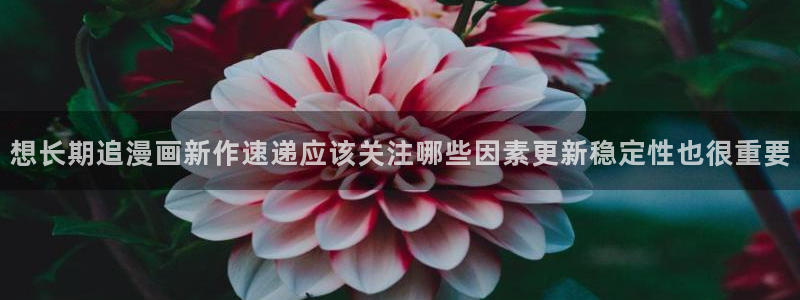 51漫画奇幻漫画：想长期追漫画新作速递应该关注哪些因素更新稳定性也很重要