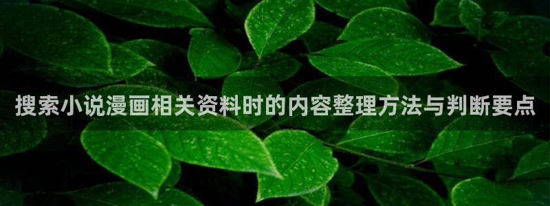 51漫画漫画阅读网站：搜索小说漫画相关资料时的内容整理方法与判断要点